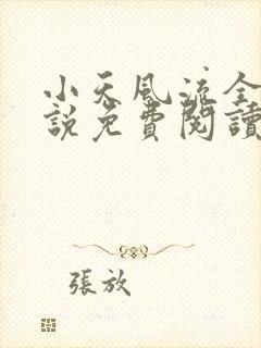 小天风流全集小说免费阅读