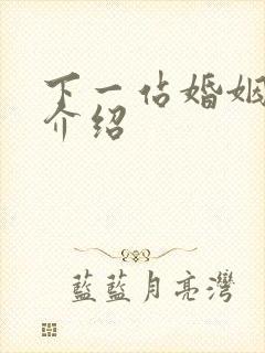 下一站婚姻剧情介绍