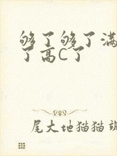 够了够了满到C了高C了