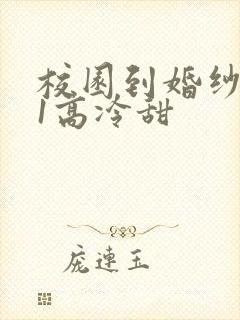 校园到婚纱1V1高冷甜