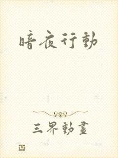 暗夜行动