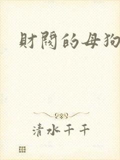 财阀的母狗们