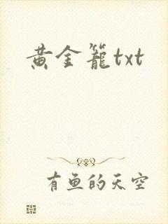 黄金笼txt