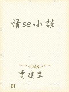 情se小说