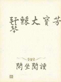 轩辕大宝芳菲雅琴