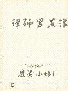 律师男友很难撩