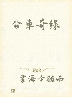 公车奇缘