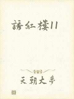 诱红楼11