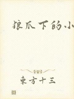 狼爪下的小雏菊