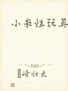 小米性玩具日记