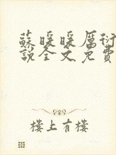 苏暖暖厉衍琛小说全文免费阅读