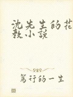 沈先生的花式管教小说