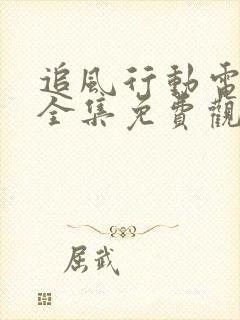 追风行动电视剧全集免费观看