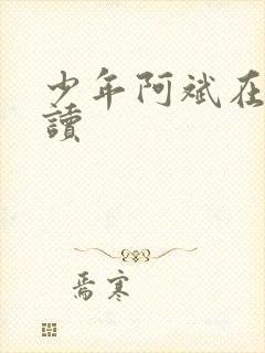 少年阿斌在线阅读
