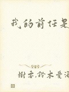 我的前任是极品