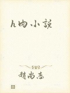 h肉小说