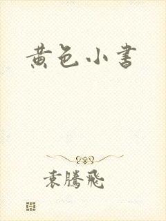 黄色小书