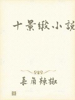 十景缎小说