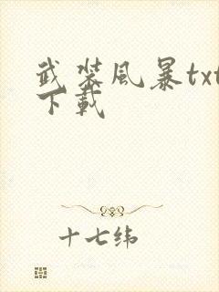 武装风暴txt下载