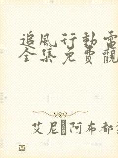 追风行动电视剧全集免费观看