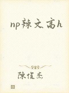 np辣文高h