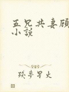 五兄共妻顾心儿小说