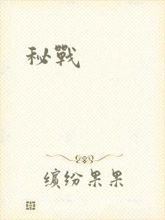 秘战
