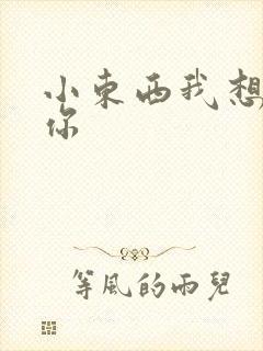 小东西我想弄坏你