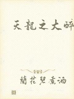 天龙之大醉侠