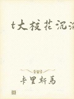 t大校花沉沦