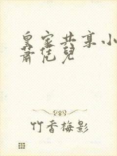 皇家共享小公主萧凭儿