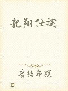 龙翔仕途