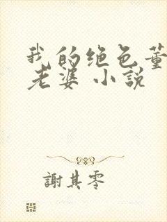 我的绝色董事长老婆 小说