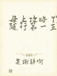 母上攻略 竹影随行第一主板