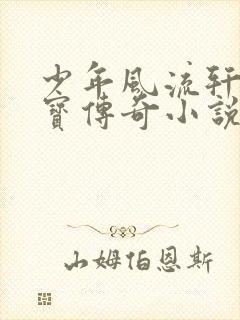 少年风流轩辕大宝传奇小说