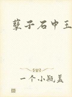 孽子石中玉