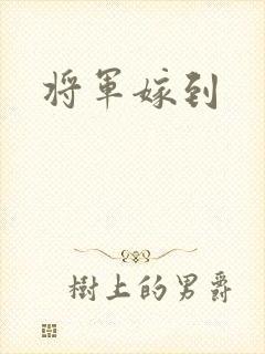 将军嫁到