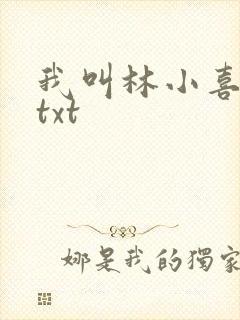 我叫林小喜小说txt