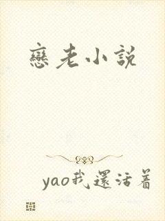 恋老小说