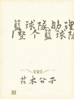 篮球队助理hv1整个篮球队