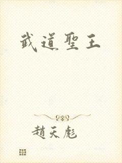 武道圣王