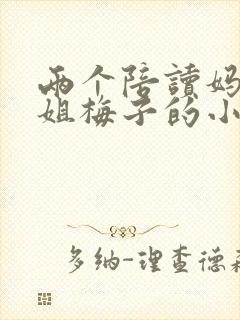 两个陪读妈妈赵姐梅子的小说