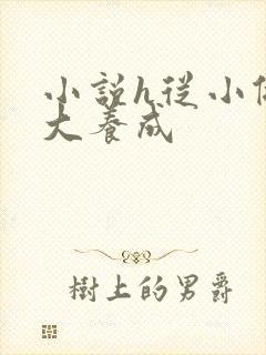 小说h从小做到大养成