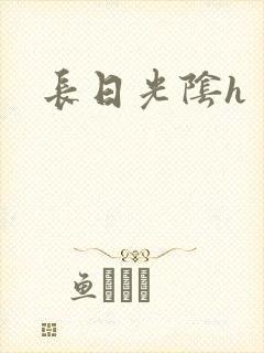 长日光阴h