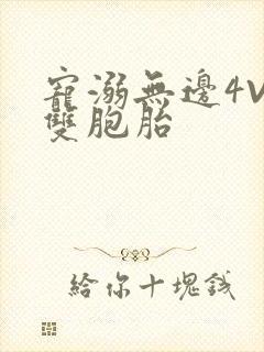 宠溺无边4V2双胞胎