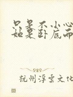 只是不小心发现她是卧底而已