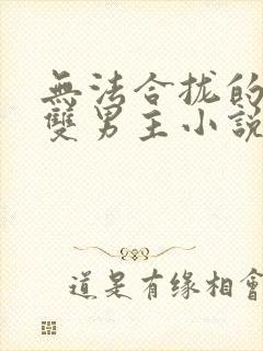 无法合拢的总裁双男主小说