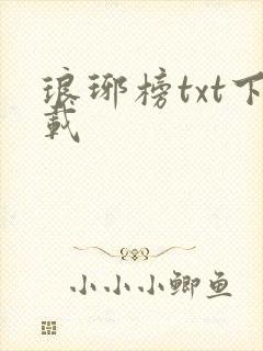 琅琊榜txt下载