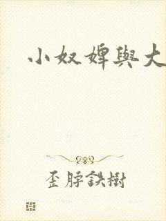 小奴婢与大少爷