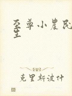 至尊小农民王木生